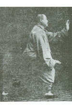 yangchengfu-pose